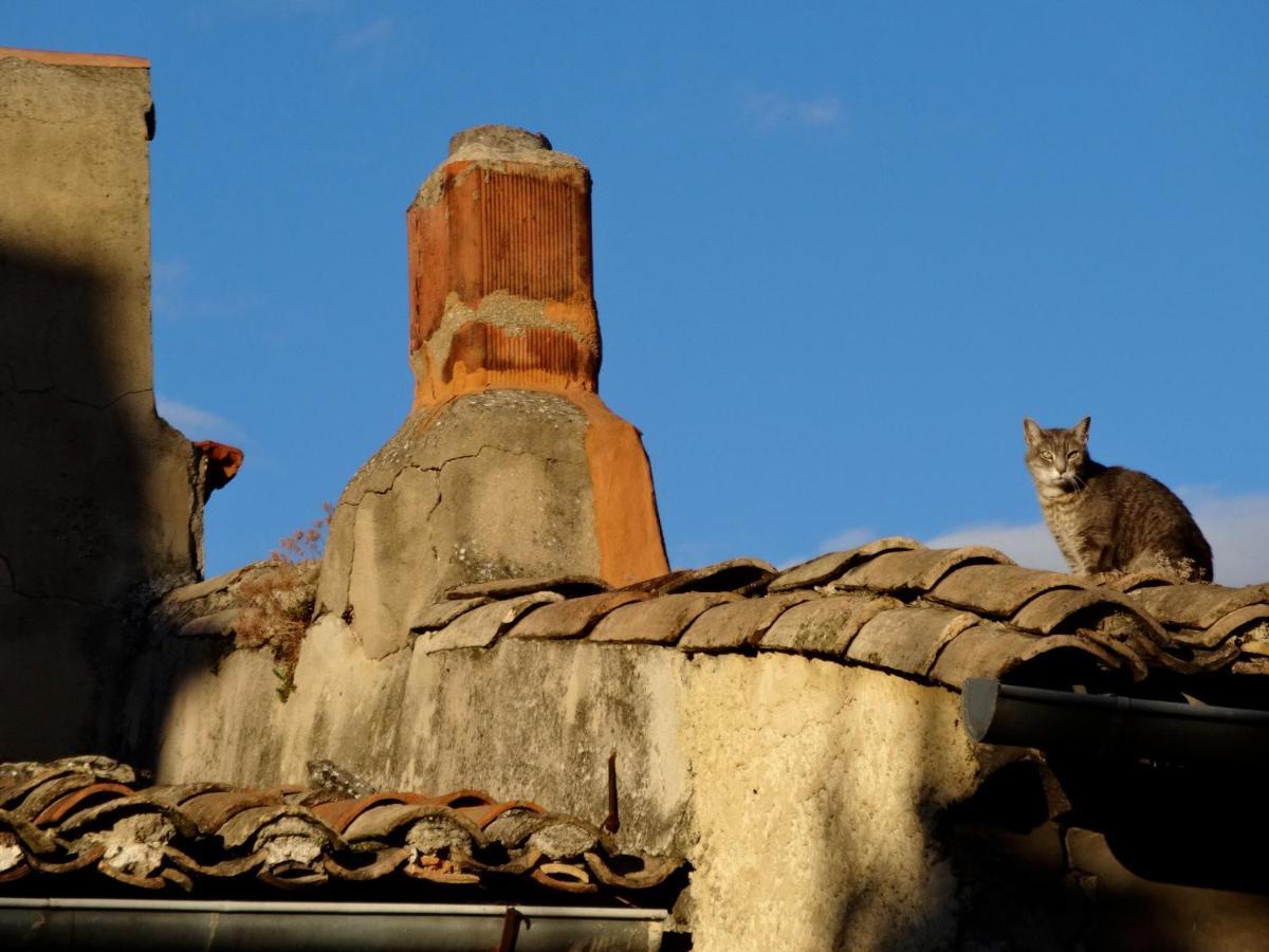 La Marisol Villa L'Isle-sur-la-Sorgue Kültér fotó
