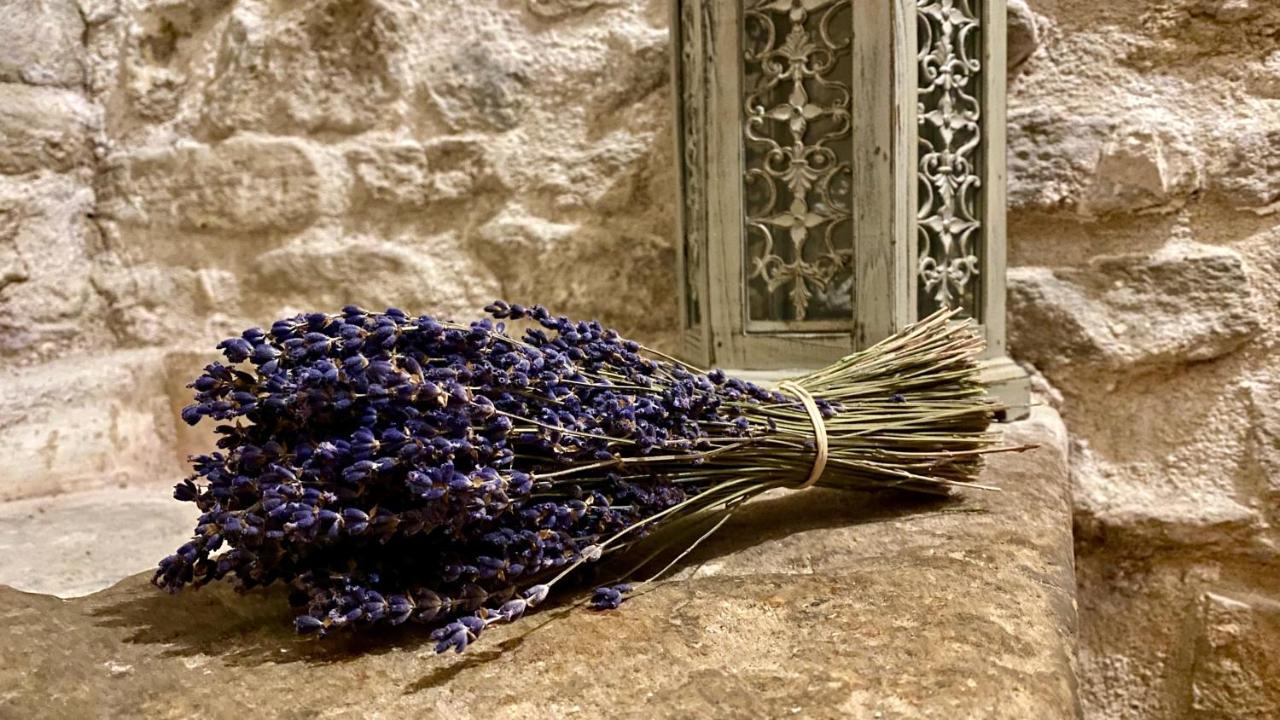 La Marisol Villa L'Isle-sur-la-Sorgue Kültér fotó